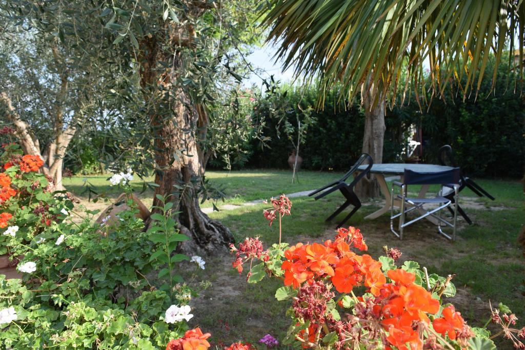 La Convenienza Bed & Breakfast Uliveto Terme ภายนอก รูปภาพ