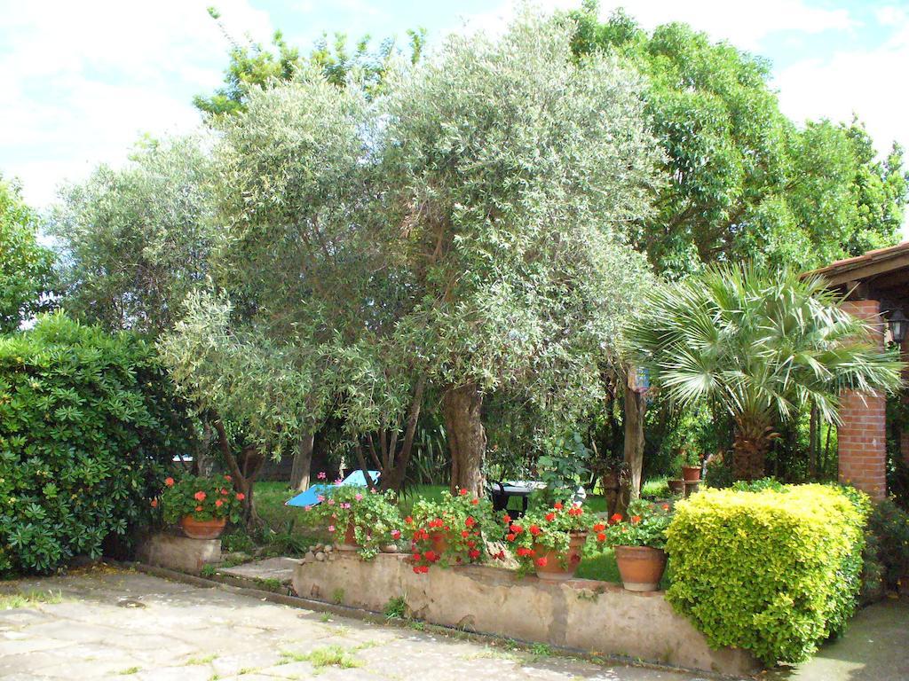 La Convenienza Bed & Breakfast Uliveto Terme ภายนอก รูปภาพ